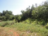 Commercial/farm land For Rent in Manchester, Manchester Jamaica | [2]