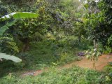 Residential lot For Sale in Moneague, St. Ann Jamaica | [2]