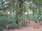 Resort/vacation property For Sale in Reading, St. James Jamaica | [1]