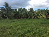 Commercial/farm land For Sale in Shettlewood, Hanover Jamaica | [4]