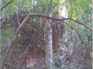 Residential lot For Sale in Crawle Spring Vale, St. Catherine Jamaica | [3]