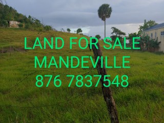 Residential lot For Sale in Knockpatric Mandeville, Manchester Jamaica | [11]