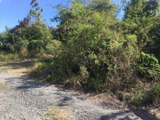 Residential lot For Sale in Yallahs, St. Thomas, Jamaica