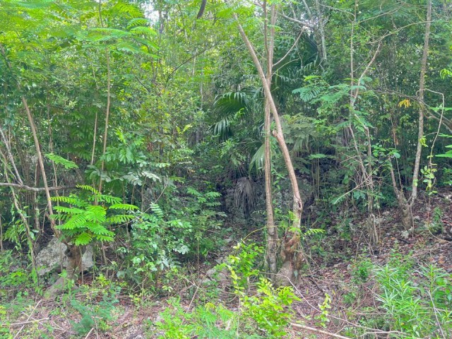 Development Land (Residential) For Sale in Woodside, Clarendon Jamaica | [5]