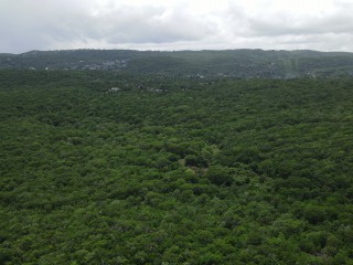 Land For Sale in Duncans, Trelawny, Jamaica