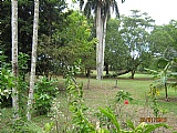 Resort/vacation property For Sale in Reading, St. James Jamaica | [9]