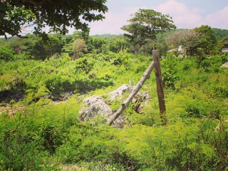 Resort/vacation property For Sale in Galina, St. Mary Jamaica | [13]