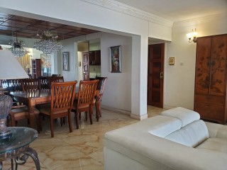 Apartment For Rent in New Kingston, Kingston / St. Andrew Jamaica | [12]