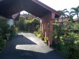 House For Rent in Kgn 5, Kingston / St. Andrew Jamaica | [10]