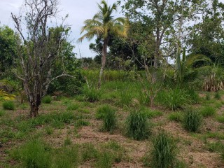 Commercial/farm land For Sale in Unity, St. Mary Jamaica | [10]