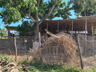 4 bed Commercial/farm land For Sale in Bushy Park, St. Catherine, Jamaica