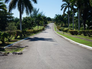 Residential lot For Sale in Negril, Westmoreland, Jamaica