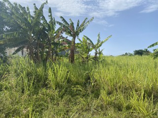 Land For Sale in Tower Isle, St. Mary, Jamaica