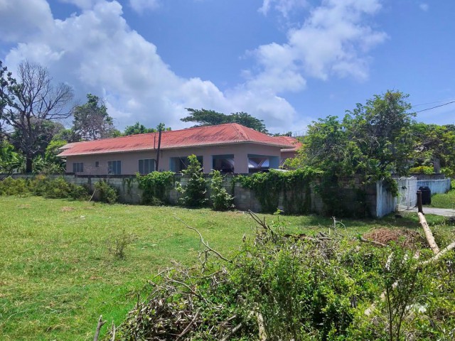 Land For Sale in Retreat, St. Thomas Jamaica | [3]
