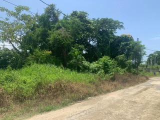 Residential lot For Sale in LUANA PEN BLACK RIVER, St. Elizabeth, Jamaica