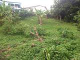 Residential lot For Sale in Fairy Hill Gardens, Portland Jamaica | [1]