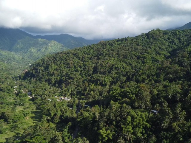 Land For Sale - Swift river, Portland, Jamaica