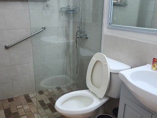 Apartment For Rent in New Kingston, Kingston / St. Andrew Jamaica | [12]
