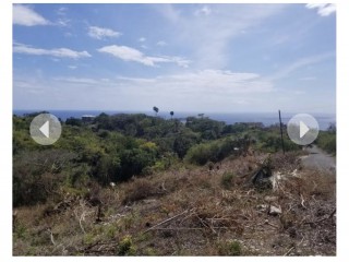 Land For Sale in Whitehouse, Westmoreland, Jamaica