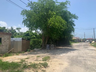 Residential lot For Sale in LUANA PEN BLACK RIVER, St. Elizabeth Jamaica | [8]