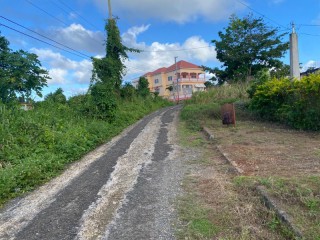 Residential lot For Sale in Industry Pen, St. Mary, Jamaica