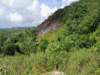 Residential lot For Sale in Rural Retreat Claremont, St. Ann, Jamaica
