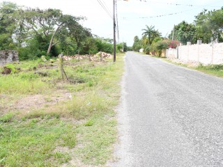 Residential lot For Sale in Black River, St. Elizabeth Jamaica | [1]