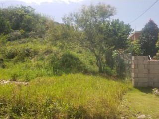 Residential lot For Sale in NEWPORT, Manchester Jamaica | [2]
