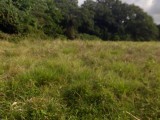 Residential lot For Sale in Port Maria, St. Mary Jamaica | [3]
