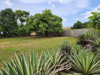 7 bed House For Sale in Denbigh, Clarendon, Jamaica