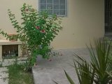House For Rent in Cedar Grove Estates, St. Catherine Jamaica | [2]