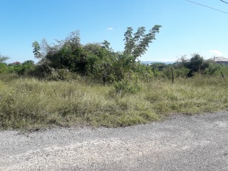 Residential lot For Sale in Luana, St. Elizabeth Jamaica | [2]