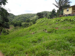 Residential lot For Sale in Lumsden, St. Ann Jamaica | [3]