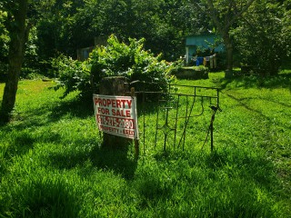 Land For Sale in Frankfield, Clarendon, Jamaica