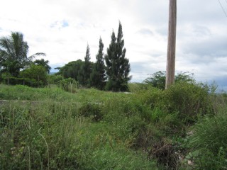 Residential lot For Sale in Rhymesbury, Clarendon Jamaica | [7]