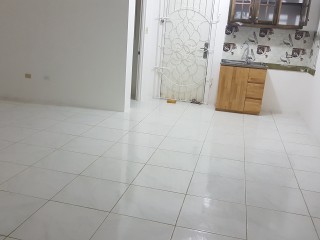 Flat For Rent in Green Island, Hanover Jamaica | [5]