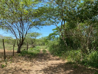 Residential lot For Sale in Bushy Park, St. Catherine, Jamaica