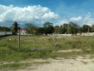 Commercial/farm land For Sale in Maypen, Clarendon Jamaica | [3]