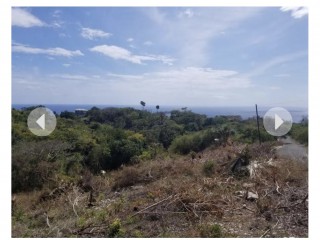 Land For Sale in Whitehouse, Westmoreland, Jamaica