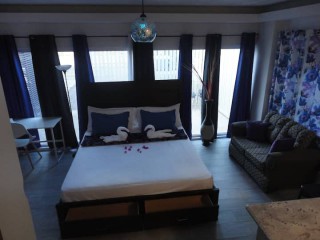 Apartment For Rent in Content Garden Ocho Rios, St. Ann Jamaica | [8]