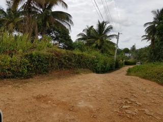 House For Sale in Victoria Linstead, St. Catherine Jamaica | [6]