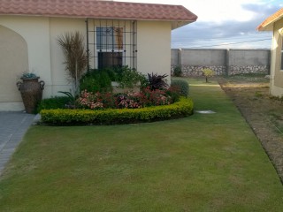 House For Rent in Bayfront Villas Port Henderson, St. Catherine Jamaica | [11]