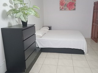 Apartment For Rent in Kingston 6, Kingston / St. Andrew Jamaica | [1]