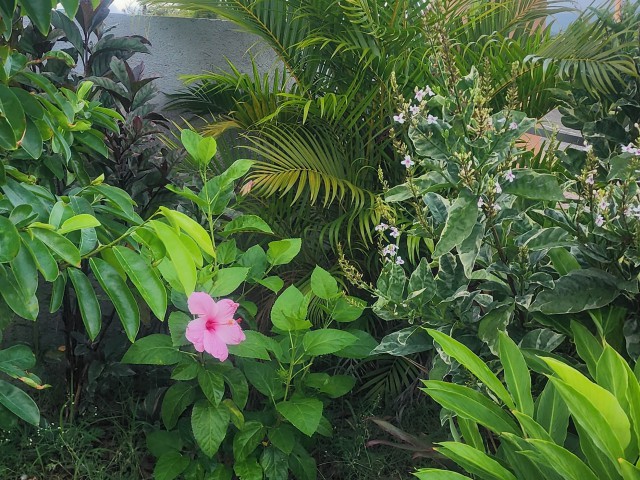 House For Sale in Twickenham Heights, St. Catherine Jamaica | [4]