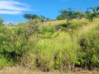 Land For Sale in Kingston 19 St Andrew, Kingston / St. Andrew Jamaica | [2]