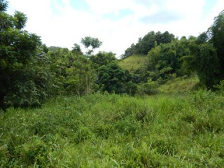 Commercial/farm land For Sale in Summer Hill, St. James Jamaica | [2]