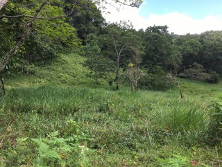 Residential lot For Sale in Chippenham Park Bamboo, St. Ann Jamaica | [2]