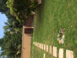 Apartment For Rent in Mona, Kingston / St. Andrew Jamaica | [4]