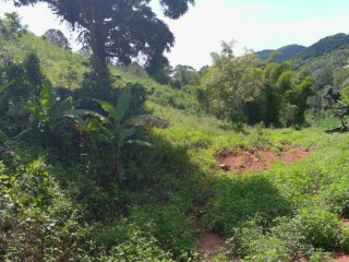 Land For Sale in Chudleigh Walderston PO, Manchester, Jamaica
