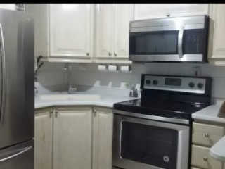 Apartment For Rent in New Kingston, Kingston / St. Andrew Jamaica | [5]